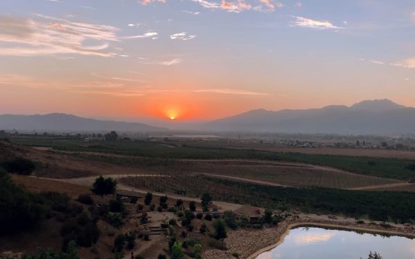 Valle de Guadalupe tendrá nueva terminal de autobuses y base de seguridad este año