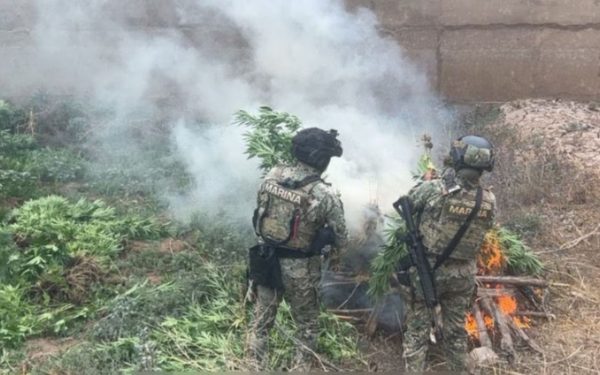 Marina destruye narcolaboratorio ligado a Los Mayos en Culiacán