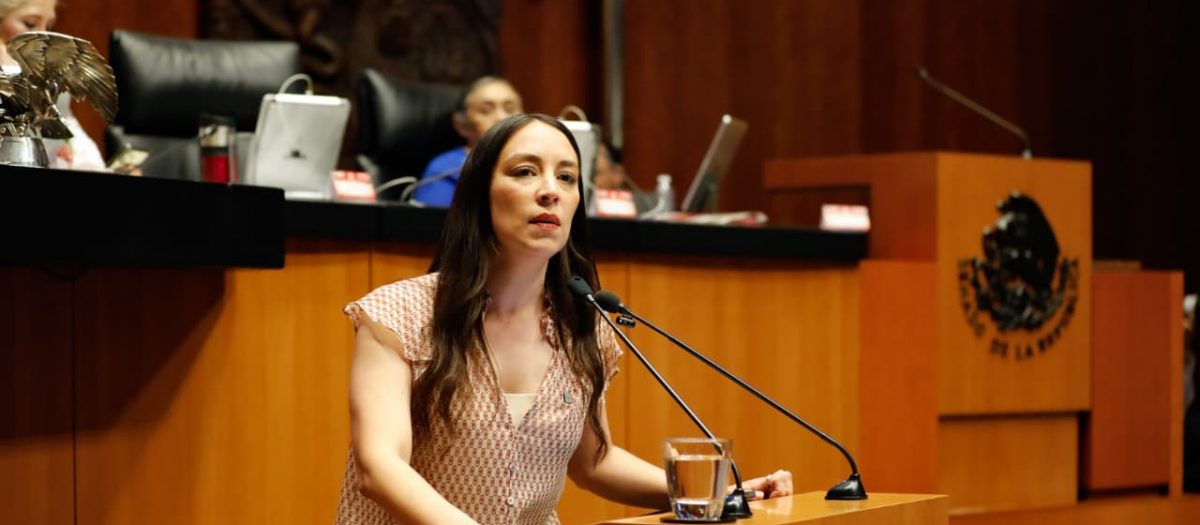 Julieta Ramírez defiende soberanía y cuestiona caso Chihuahua en el Senado